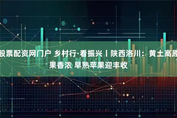 股票配资网门户 乡村行·看振兴丨陕西洛川：黄土高原果香浓&#32;早熟苹果迎丰收
