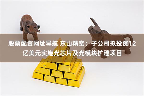 股票配资网址导航 东山精密：子公司拟投资12亿美元实施光芯片及光模块扩建项目